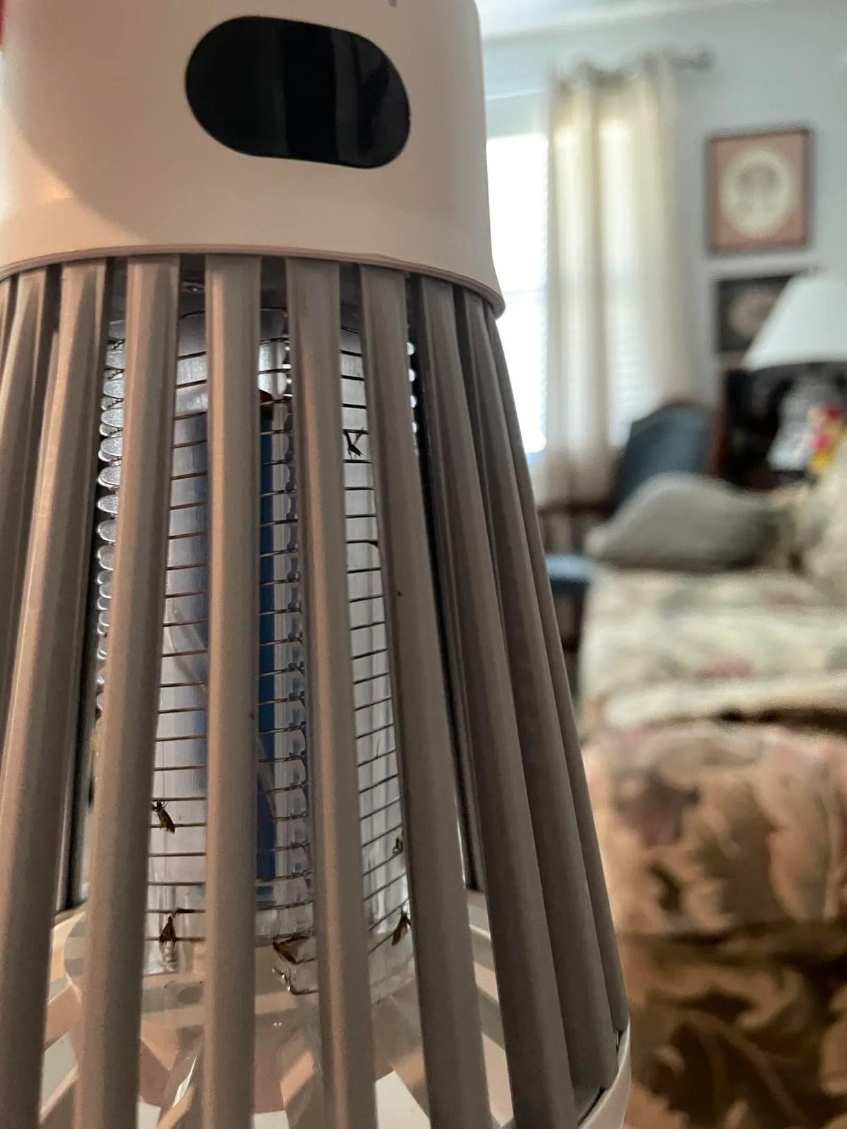 Clima Pest Guard image